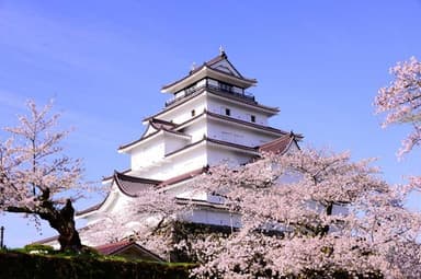 Fukushima Sake