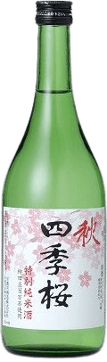 四季桜 秋