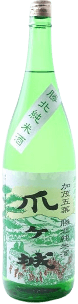 加茂五葉 純米 爪ヶ城