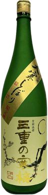 大寒絞り 三重の寒梅
