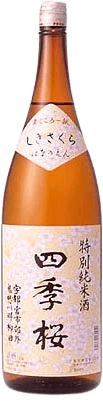 四季桜 花の園