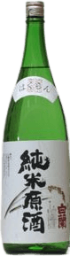 白蘭 純米原酒