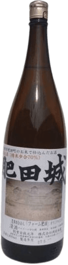 肥田城(ひだじょう)