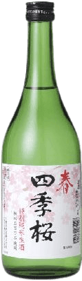 四季桜 春