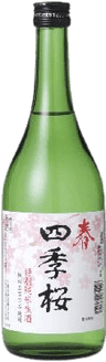 四季桜 春