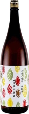 よさ娘 山廃純米原酒