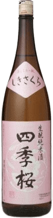 四季桜 きもと純米酒