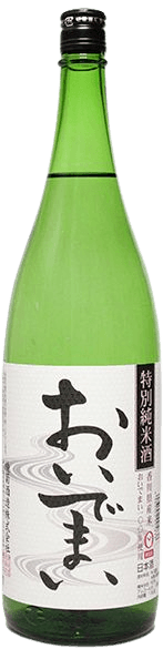 綾菊 特別純米 おいでまい 綾菊 特別純米 おいでまい
