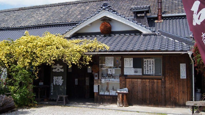 太陽酒造株式会社