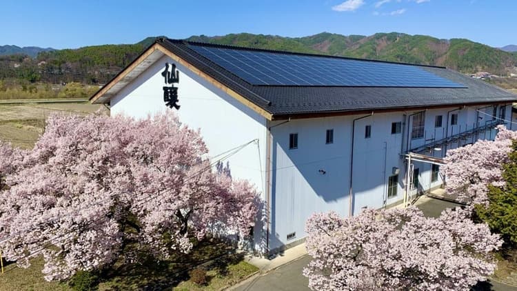 Senjo Brewery Company