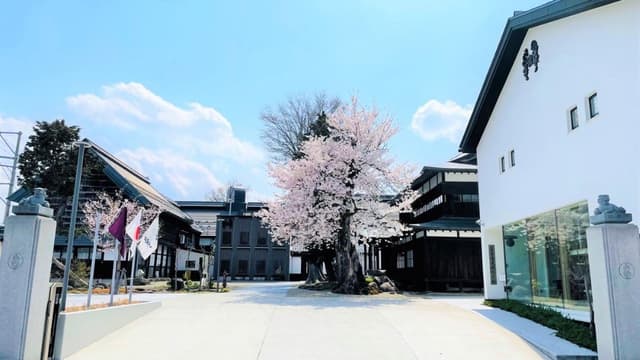高木酒造株式会社