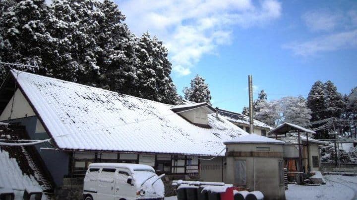 小島酒造店