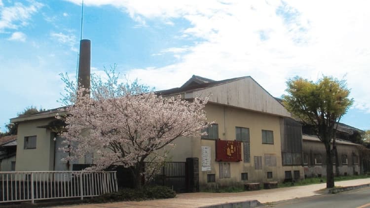 Mannen Turtle Brewery Company