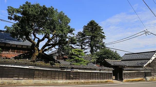 丹生酒造株式会社