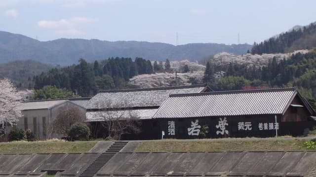 若葉株式会社