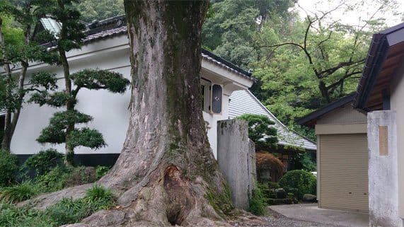 大矢孝酒造株式会社