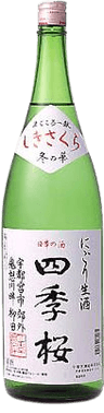 四季桜 冬の花 四季桜 冬の花