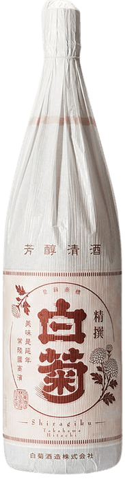 白菊 清泉 白菊 清泉